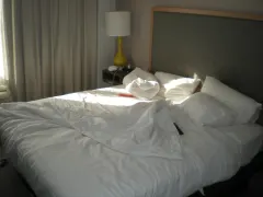 My terrible hotel room it smelled bad and was $400