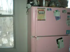 Anden's pink fridge
