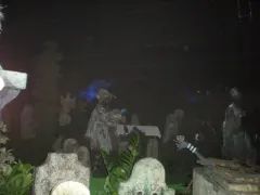 The Haunted Mansion ride broke down
