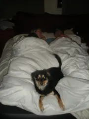 Milo and Chris & Rae