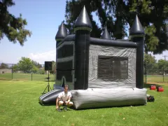 King of the Bouncy Castle