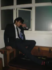 Moggin in the window