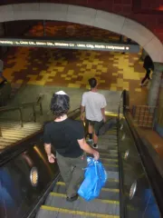 Down the Rabbit Hole