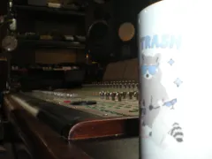 Trash Pandas