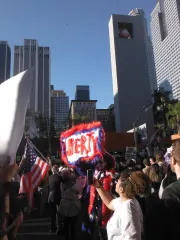 Protest II