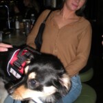 Camille and Milo at Jameson's