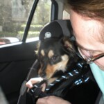 Strapping in the baby