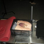 My organs :/