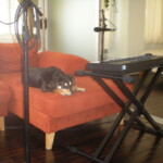 Milo on keys