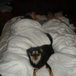 Chris Milo and Rae