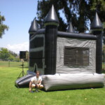 King of the Bouncy Castle