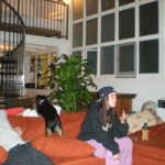 The viewing party