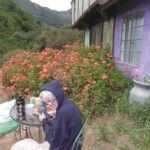 Devon at the Mermaid Cabin in Topanga